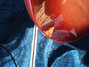 Rickenbacker 330/6 , Fireglo: Close up - Free2