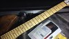 Rickenbacker 330/6 , Natural Walnut: Neck - Front