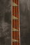Rickenbacker 4001/4 , Walnut: Neck - Front