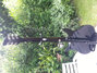 Rickenbacker 350/6 Liverpool, Jetglo: Full Instrument - Rear