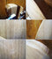 Rickenbacker 330/6 , Mapleglo: Close up - Free2