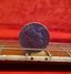 Rickenbacker 365/6 , Jetglo: Free image2