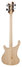 Rickenbacker 4003/4 , Mapleglo: Full Instrument - Rear