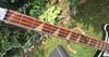 Rickenbacker 4001/4 , Jetglo: Neck - Front