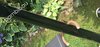 Rickenbacker 4001/4 , Jetglo: Neck - Rear