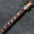 Rickenbacker 4003/4 , Mapleglo: Neck - Front