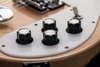 Rickenbacker 480/6 , Mapleglo: Free image