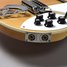 Rickenbacker 620/6 , Mapleglo: Free image2