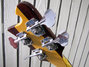 Rickenbacker 4001/4 CS, Cream: Headstock - Rear