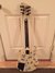 Rickenbacker 230/6 Mod, Custom: Full Instrument - Rear