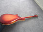 Rickenbacker 625/6 Mod, Fireglo: Full Instrument - Rear