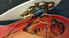Rickenbacker 625/6 Mod, Fireglo: Close up - Free2
