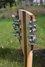 Rickenbacker 370/12 , Mapleglo: Headstock - Rear