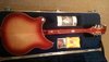Rickenbacker 360/12 , Fireglo: Full Instrument - Rear