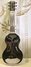 Rickenbacker NS 100/6 LapSteel, Silver: Full Instrument - Rear