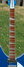 Rickenbacker 1993/12 Plus, Santa Ana Skyglo: Neck - Front