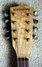 Rickenbacker 5002/8 , Natural: Headstock