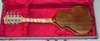 Rickenbacker 5002/8 , Natural: Full Instrument - Rear