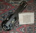 Rickenbacker G/6 , Chrome: Full Instrument - Front