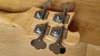 Rickenbacker 4003/4 , Mapleglo: Headstock - Rear