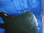 Jul 1976 Rickenbacker 4001/4 , Jetglo: Body - Rear