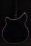 Sep 2015 Rickenbacker 360/6 , Jetglo: Body - Rear