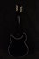 Rickenbacker 1993/12 Plus, Jetglo: Full Instrument - Rear