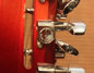 Rickenbacker 360/12 , Fireglo: Close up - Free2