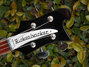 Rickenbacker 4003/4 , Jetglo: Headstock