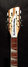 Rickenbacker 381/12 V69, Mapleglo: Headstock