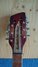 Rickenbacker 660/12 TP, Fireglo: Headstock