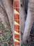 Rickenbacker 4001/4 BT, White: Neck - Front
