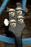 Rickenbacker 4001/4 , Jetglo: Headstock - Rear