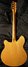 Rickenbacker 370/12 RM, Mapleglo: Full Instrument - Rear
