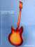 Rickenbacker 330/6 , Fireglo: Full Instrument - Rear