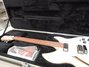 Rickenbacker 330/6 , Mapleglo: Free image