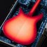 Rickenbacker 1996/6 f hole, Fireglo: Body - Rear
