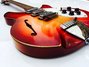 Rickenbacker 1998/6 RoMo, Fireglo: Full Instrument - Front