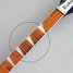 Rickenbacker 360/6 , Midnightblue: Close up - Free2