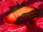 Rickenbacker 450/12 , Fireglo: Neck - Rear