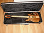 Rickenbacker 650/6 Sierra, Natural Walnut: Free image