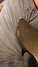 Jun 1988 Rickenbacker 330/6 , Jetglo: Body - Rear