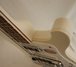 Rickenbacker 4003/4 , Snowglo: Free image2
