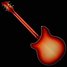 Rickenbacker 360/6 , Fireglo: Full Instrument - Rear