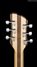 Rickenbacker 360/6 , Natural Walnut: Headstock - Rear