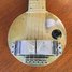 Rickenbacker A25/6 LapSteel, Silver: Body - Front