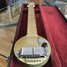 Rickenbacker A25/6 LapSteel, Silver: Full Instrument - Front