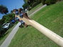 Rickenbacker 4003/4 , Natural Walnut: Neck - Rear