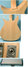 Dec 1992 Rickenbacker 325/6 V59, Mapleglo: Body - Rear