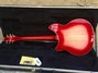 Rickenbacker 360/6 , Fireglo: Full Instrument - Rear